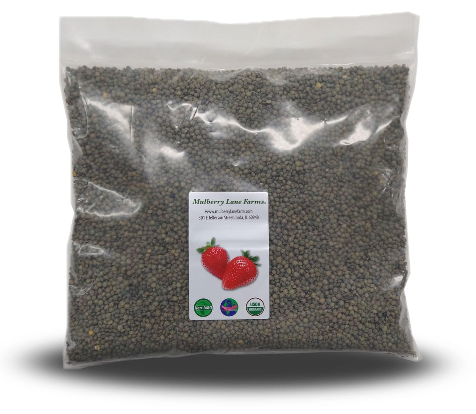 Mulberry Lane Farms French Green Lentils front view, organic quality for nutritious everyday meals