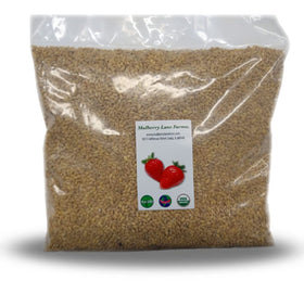 Mulberry Lane Farms hulled barley 5 lb bulk bag; versatile base for meals.