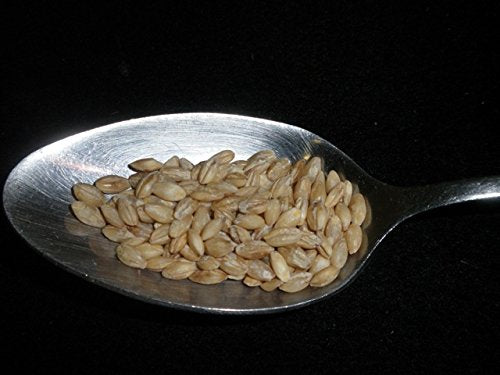 Mulberry Lane Farms hulled barley with organic certification, premium quality.