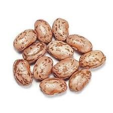Mulberry Lane Farms Organic Pinto Beans Dry Bulk, certified organic and non-GMO