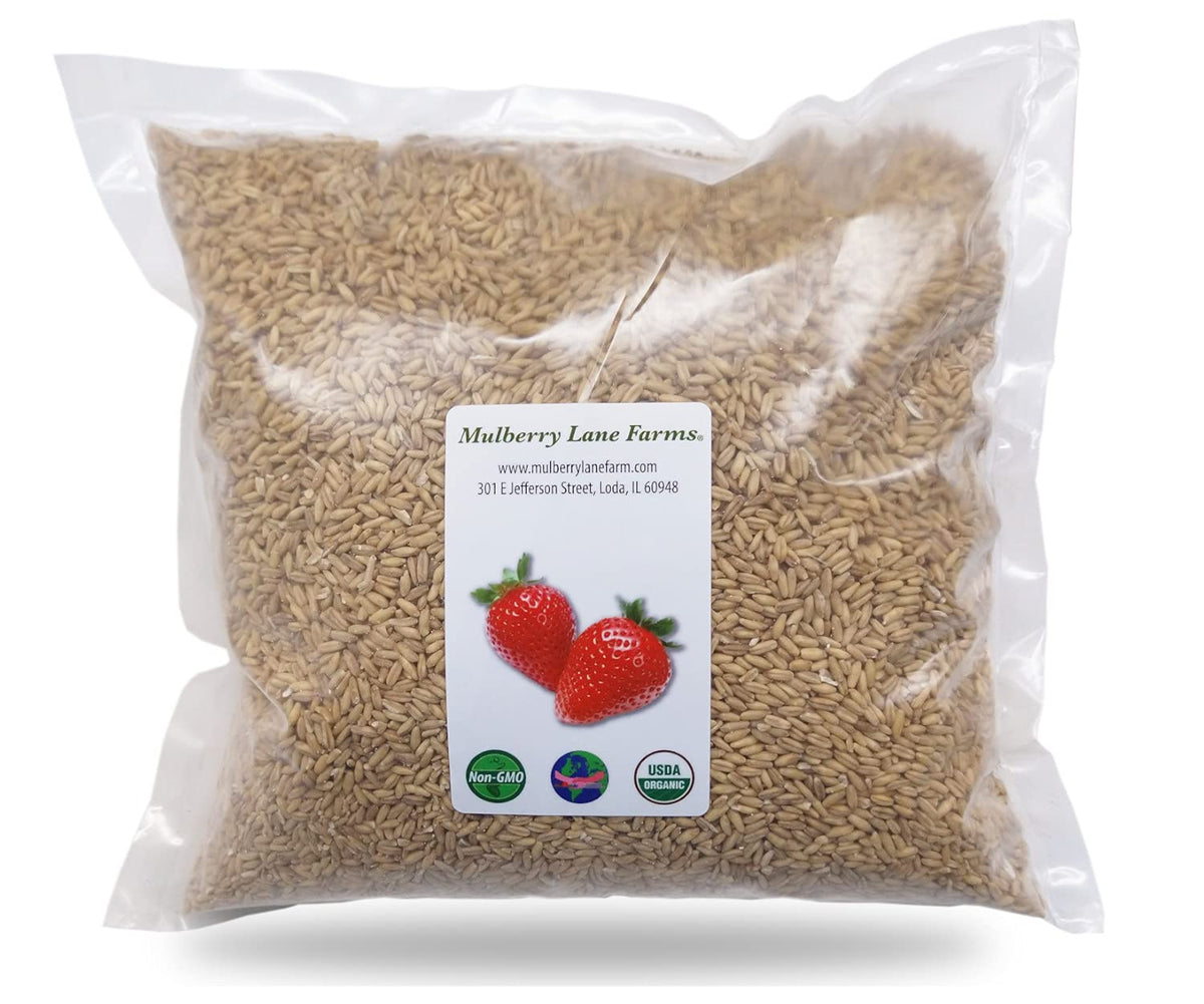 Mulberry Lane Farms whole oats 5 lb bulk ready for meal prep.