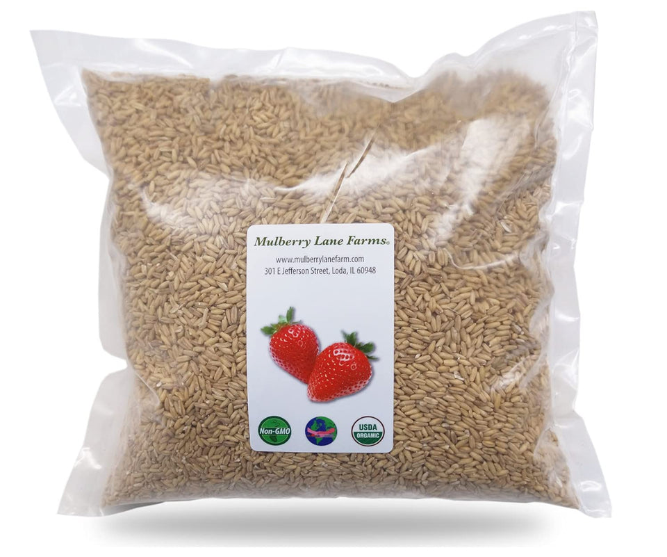 Mulberry Lane Farms whole oats 5 lb bulk ready for meal prep.