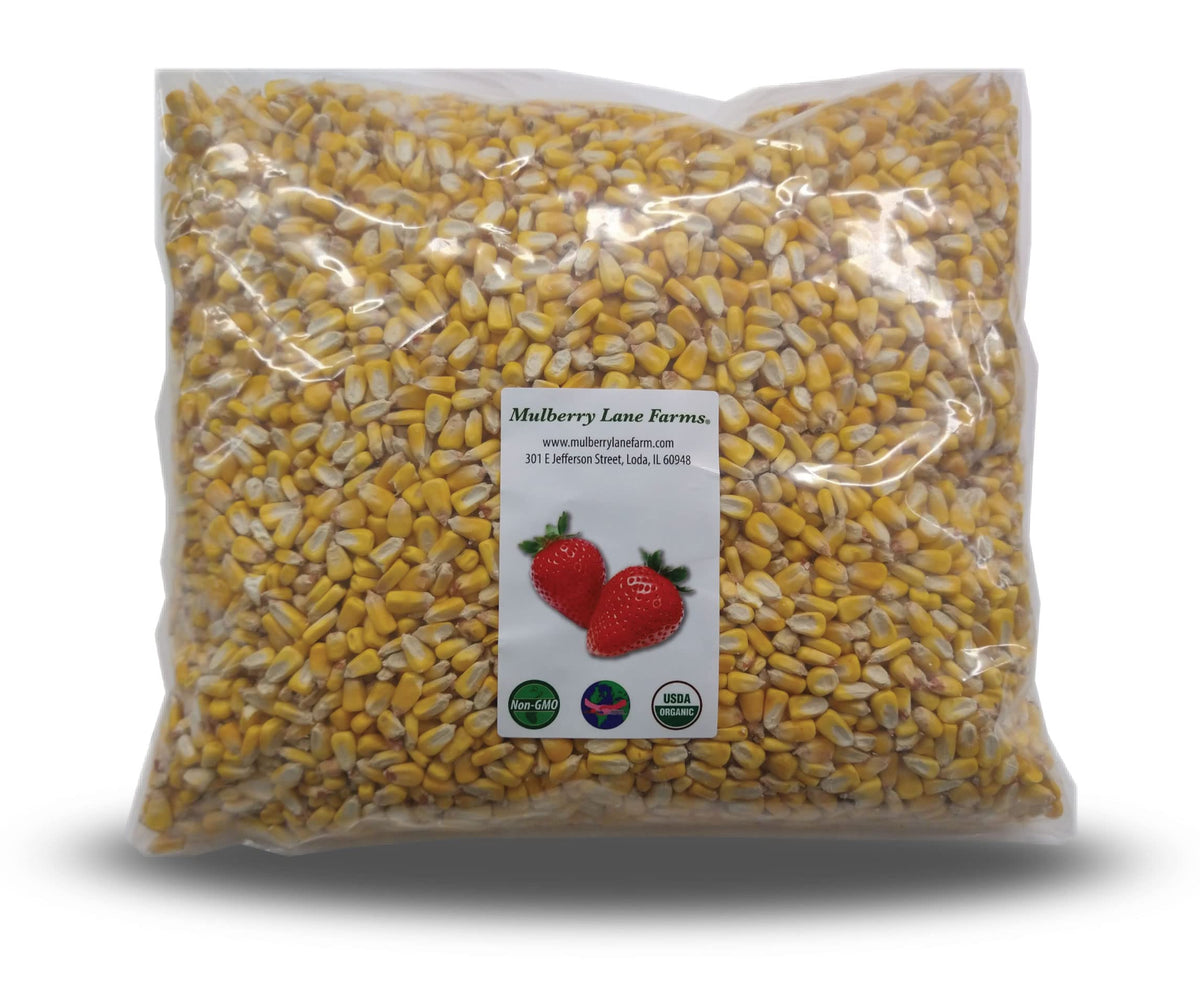 Mulberry Lane Farms whole yellow corn kernels closeup, ideal for fresh grinding into cornmeal.