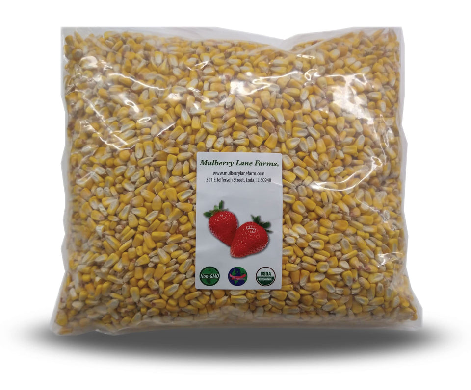 Mulberry Lane Farms whole yellow corn kernels closeup, ideal for fresh grinding into cornmeal.