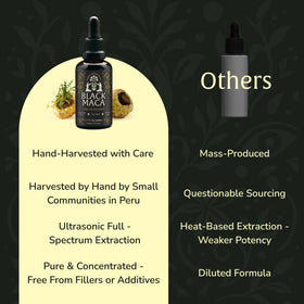 Munay Botanicals Black Maca Extract sourced from Peru’s Andes for purity.