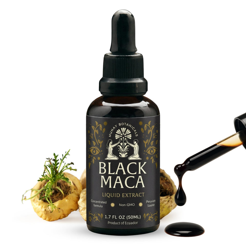 Munay Botanicals Black Maca Extract bottle close-up for daily endurance potential.