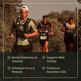 Munay Botanicals Black Maca Extract stirred into coffee for enhanced focus.