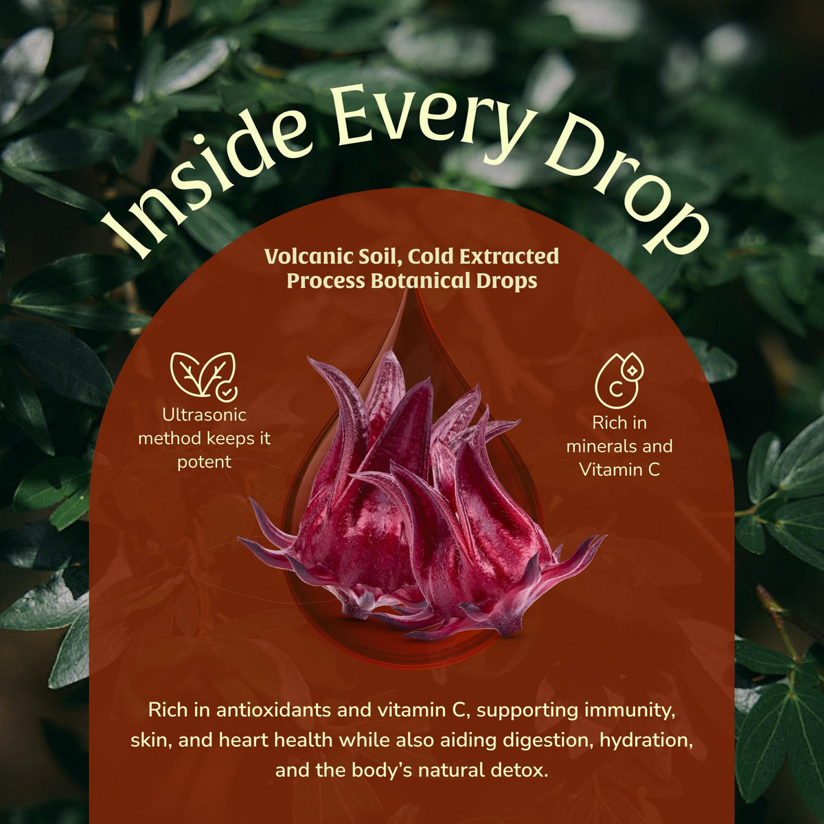 Munay Botanicals Hibiscus Extract label highlights origin and vegan formulation.