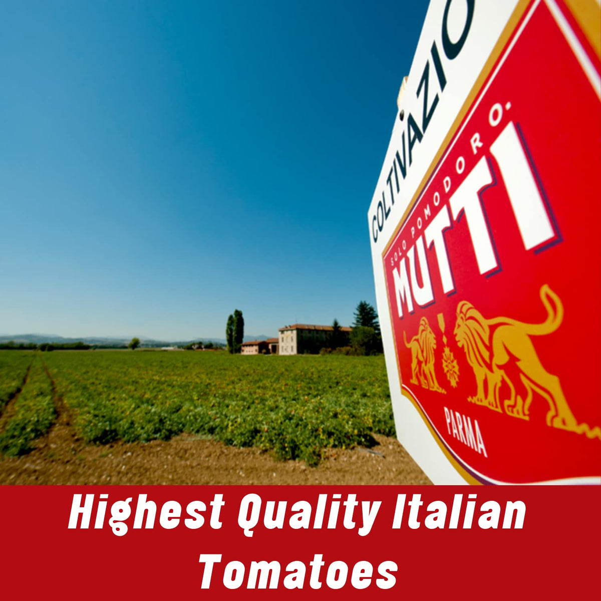 Mutti Tomato Puree Passata on Italian farmland evokes sun-ripened harvest