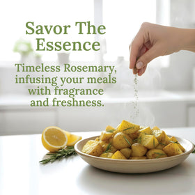 MY LAND Greek harvest rosemary prompts Mediterranean flavor notes.