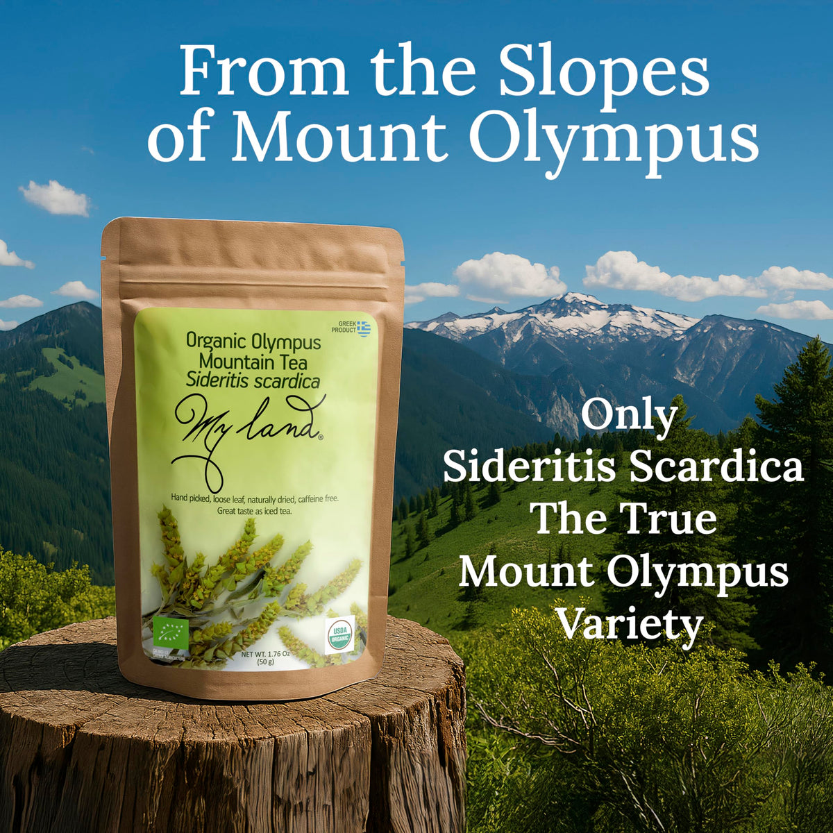 My Land hand-picked Sideritis Scardica from Mount Olympus authentic flavor.