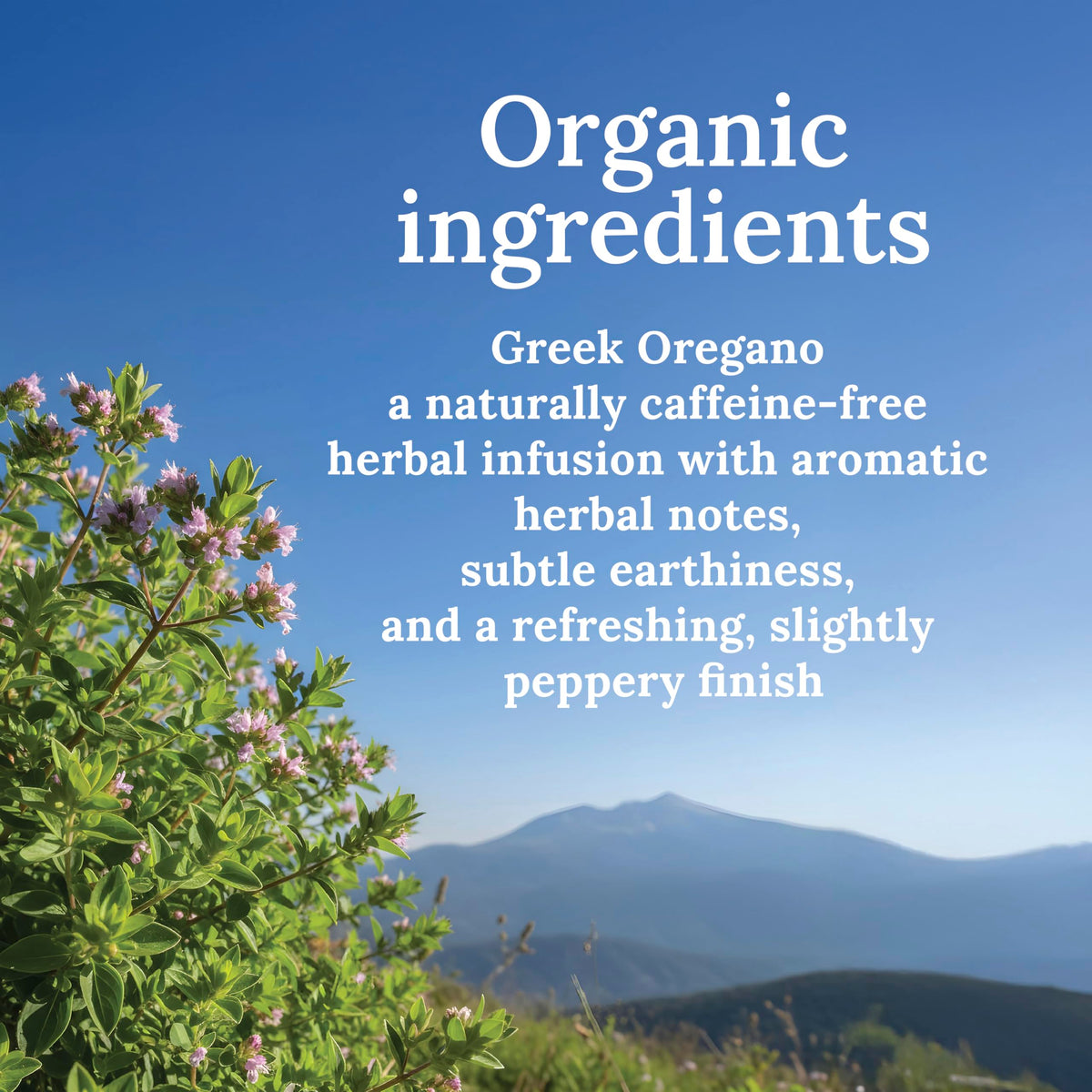 MY LAND oregano sprinkled on Greek salad for bright flavor