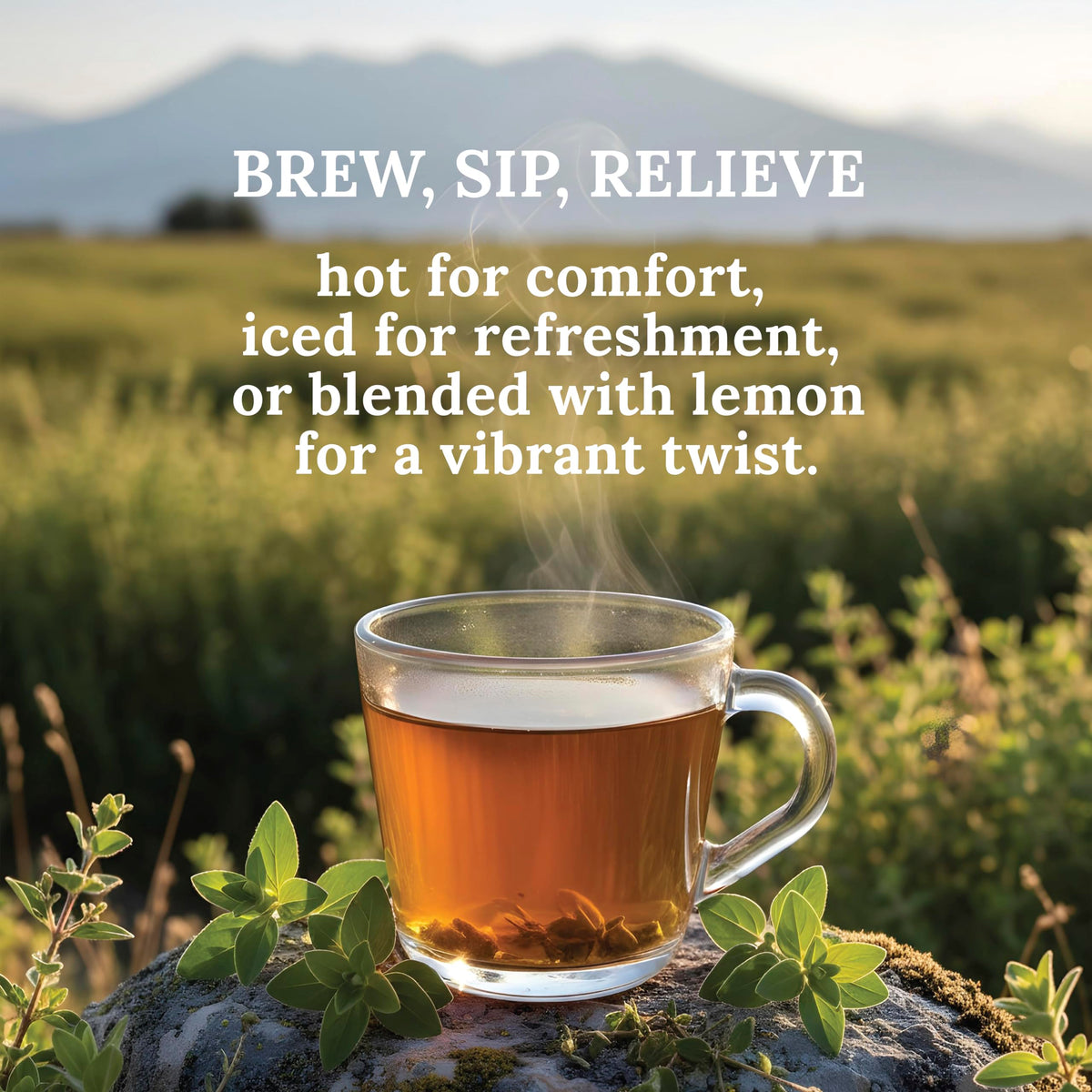 MY LAND oregano in resealable kraft pouch preserves essential oil aroma