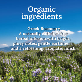 MY LAND rosemary tea steep yields a bright, calming herbal infusion.