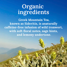 My Land top-80-percent leaves and flower tips ensure a delicate, clean cup.