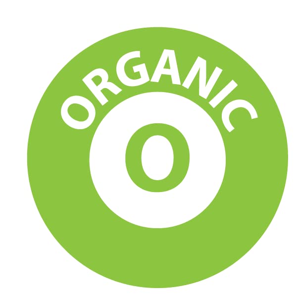 My Power Seeds organic bitter raw apricot seeds in a dish reflect premium quality ingredients