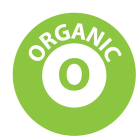 My Power Seeds organic bitter raw apricot seeds in a dish reflect premium quality ingredients