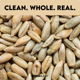 Myco Buddy organic rye berries resealable packaging preserves freshness.