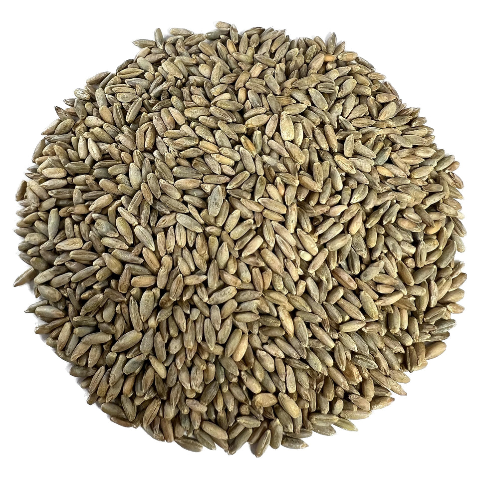Myco Buddy Organic Rye Berries in USA packaging for pantry freshness