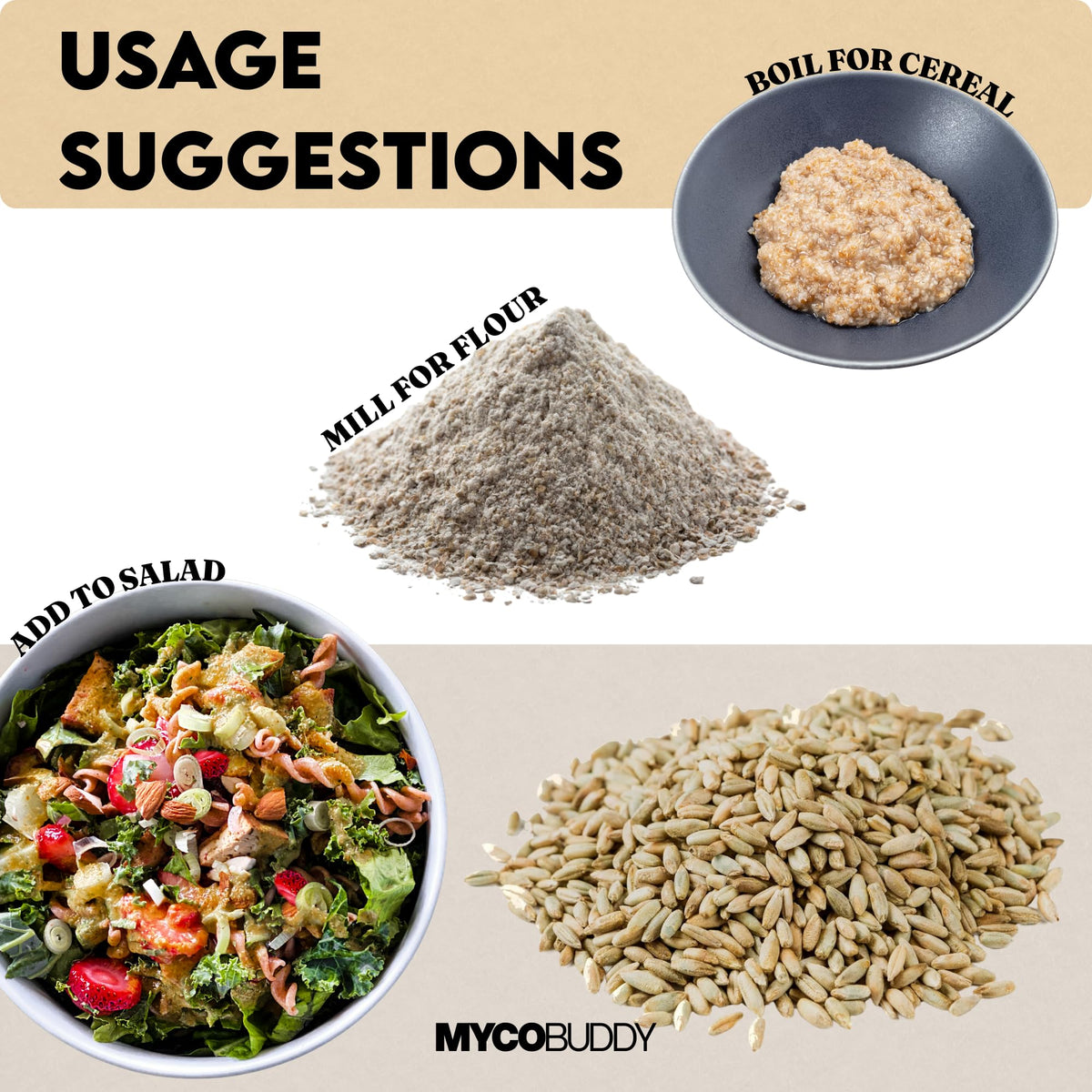 Myco Buddy rye berries milled into flour for nutritious baking with nutty aroma.