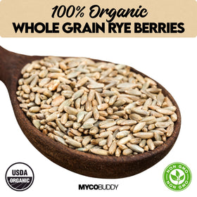 Myco Buddy rye berries closeup showing fiber-rich grains for wholesome meals.