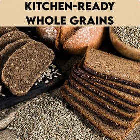 Myco Buddy rye berries sprouting tray for home sprouting and fresh greens.