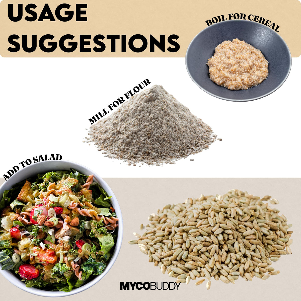 Myco Buddy Rye Berries in bread baking preparation