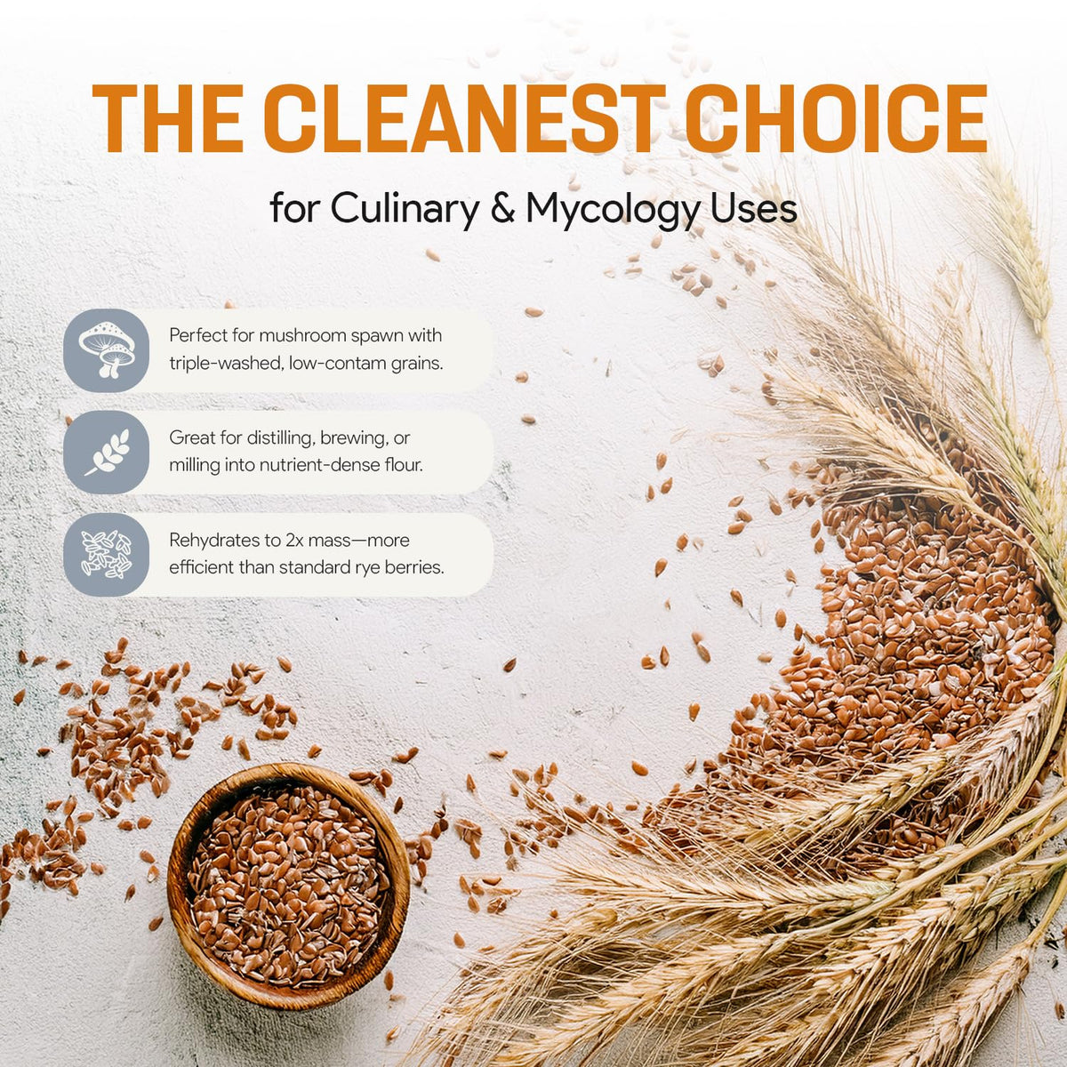 Mycology Basics Rye Berries suitable for cooking, brewing, or distilling with rich flavor notes.