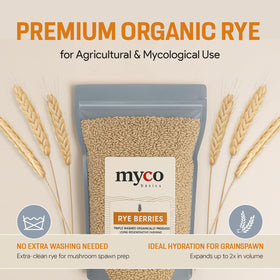 Mycology Basics Rye Berries ready for mushroom spawn applications with clean, consistent grains.