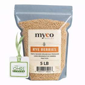 Mycology Basics Rye Berries for mushroom spawn, a clean substrate for reliable growth.