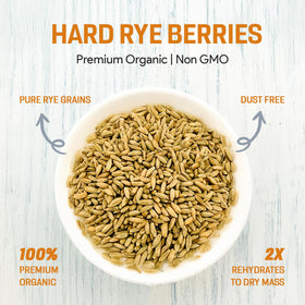 Mycology Basics Rye Berries OMRI Organic and non-GMO approved for trusted sourcing.