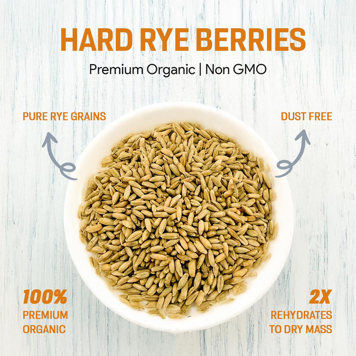 Mycology Basics organic regenerative rye berries nutrient-rich start for experiments