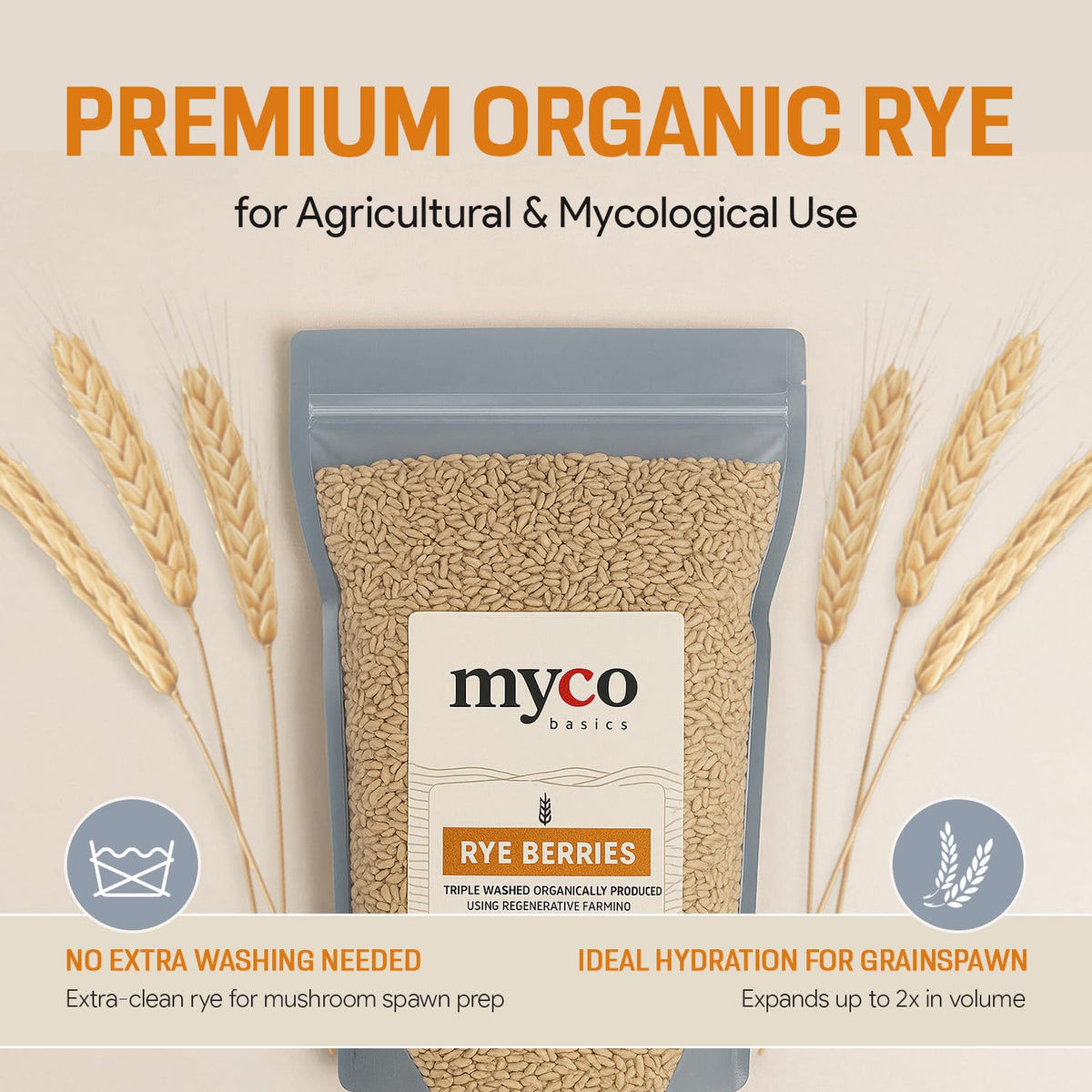 Mycology Basics Rye Berries grown regeneratively for sustainable, nutrient-dense grain.