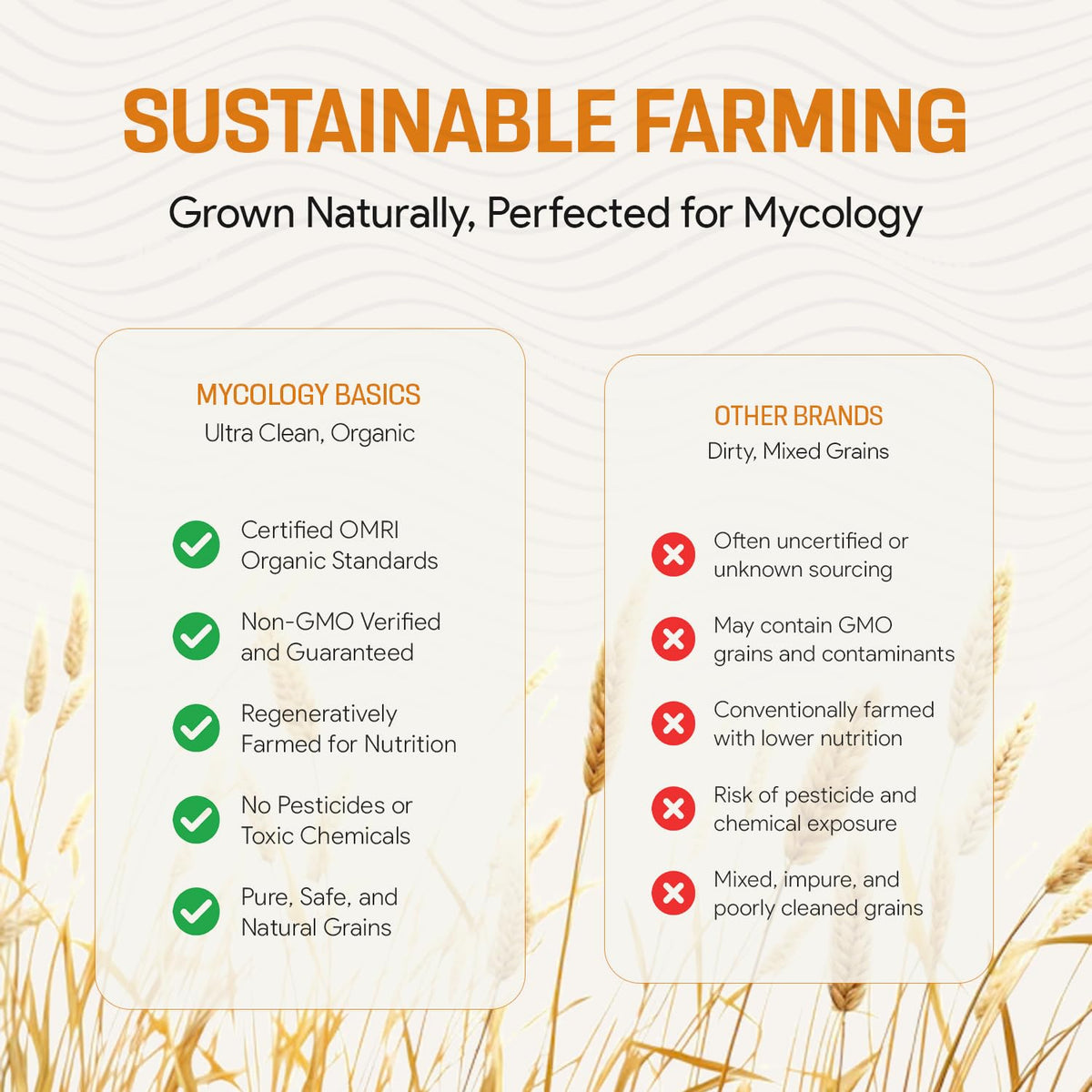 Mycology Basics Rye Berries in a resealable bag for convenient storage and freshness.