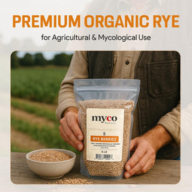 Mycology Basics Rye Berries usable for grainspawn, flour, or rye mash applications.