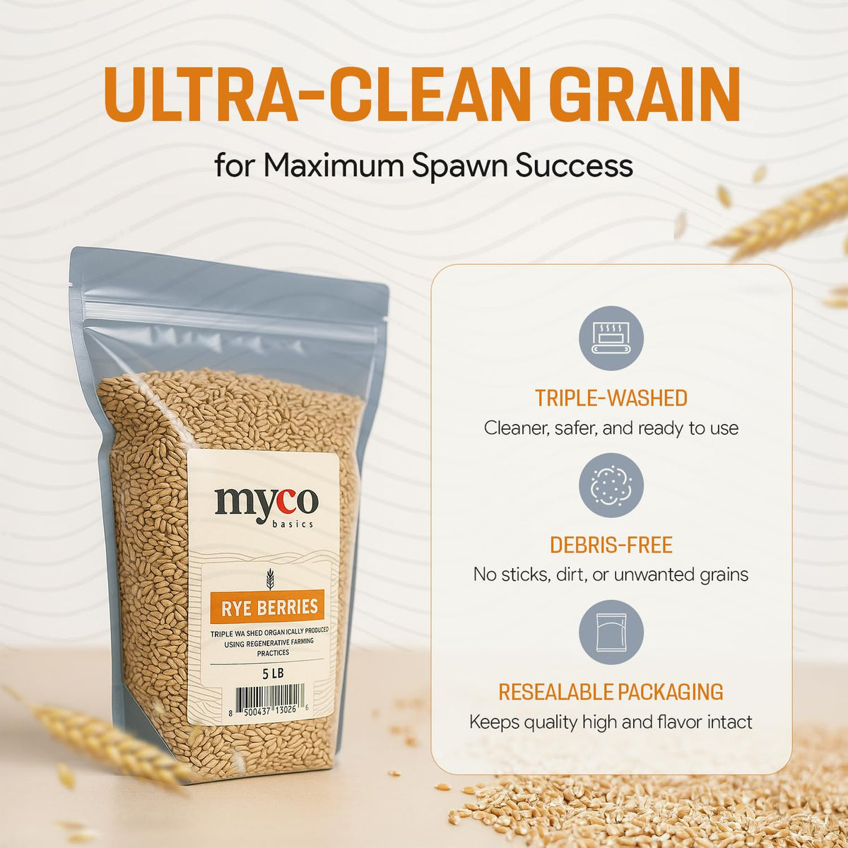 Mycology Basics Triple-washed Rye Berries reduce contaminants during prep.