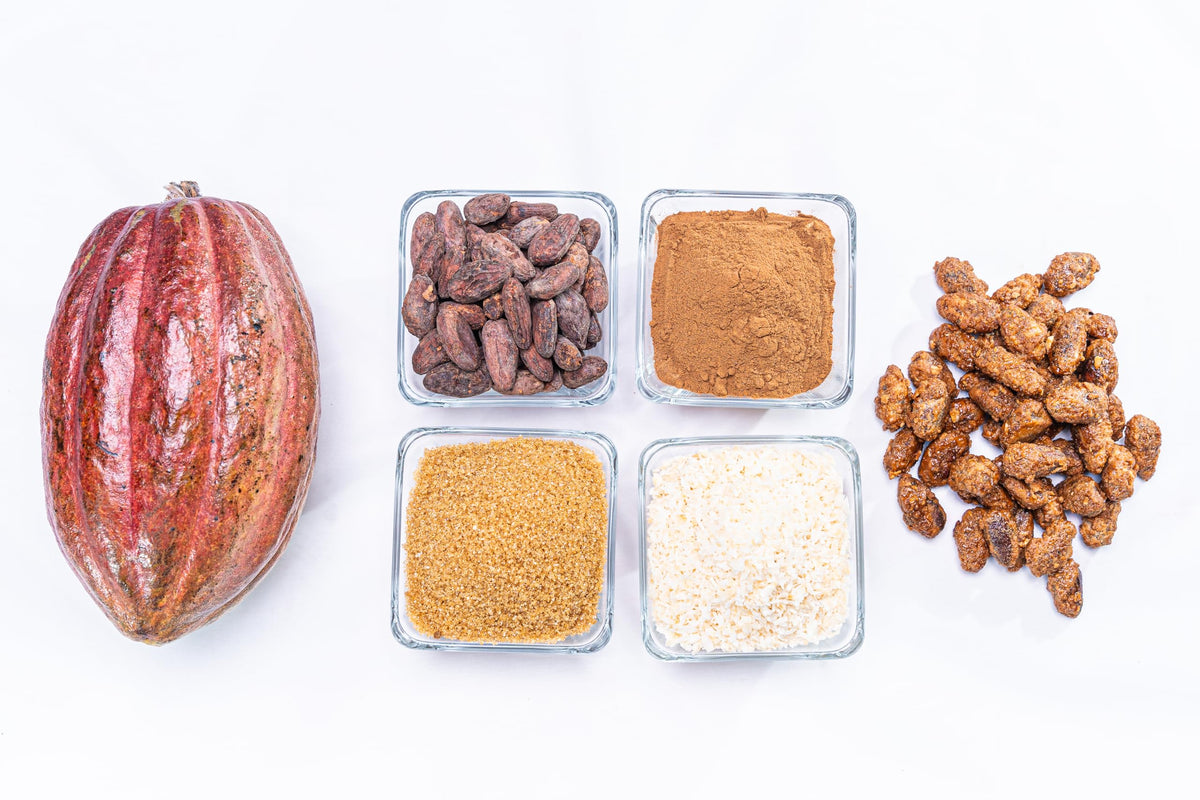 NAHUATL caramelized cacao beans close-up shows rich color and shine.