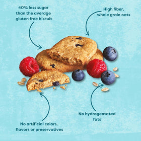 Close-up of oats with blueberries and raspberries, wholesome ingredients.
