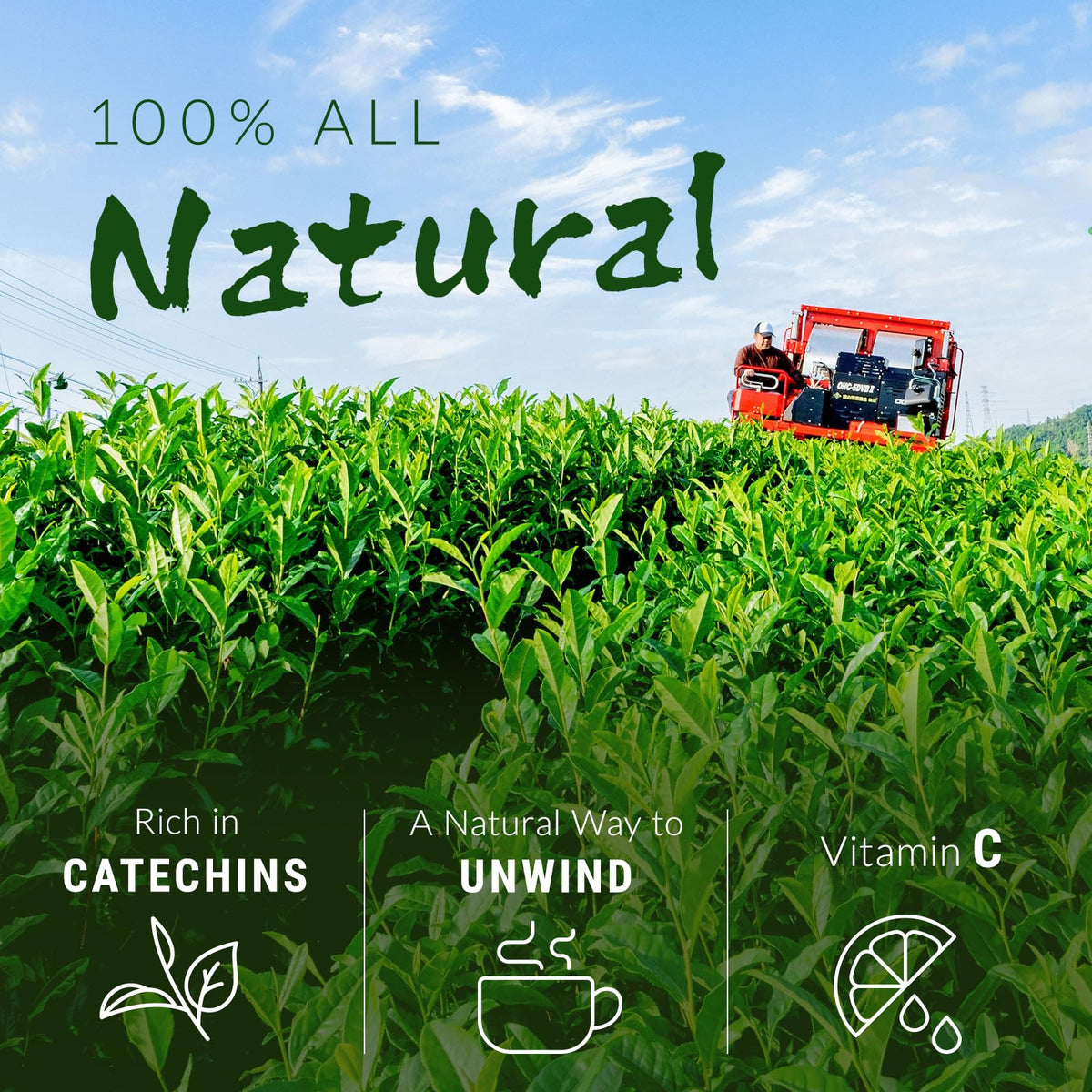 NAKANE TEA INC. 2g per bag highlights easy portion control for a quick cup.