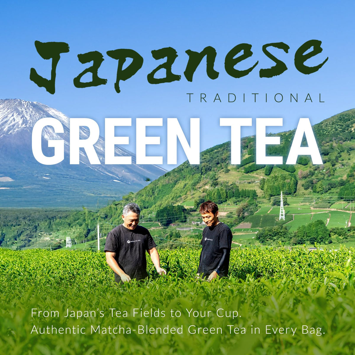 NAKANE TEA INC. tea bag closeup highlights high-quality leaf texture for discerning tea lovers.