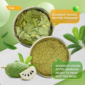 NalLife plantation-sourced soursop leaves underline quality and origin