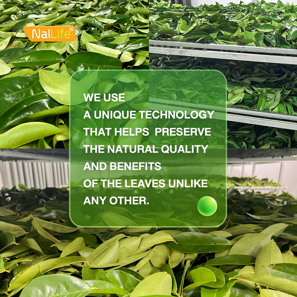 NalLife resealable bag helps keep freshness between uses