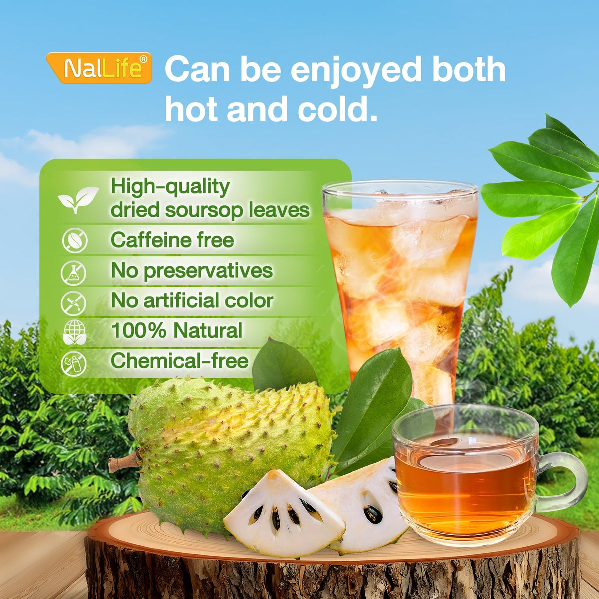 NalLife soursop leaves harvested from NalLife's plantation for consistent quality.