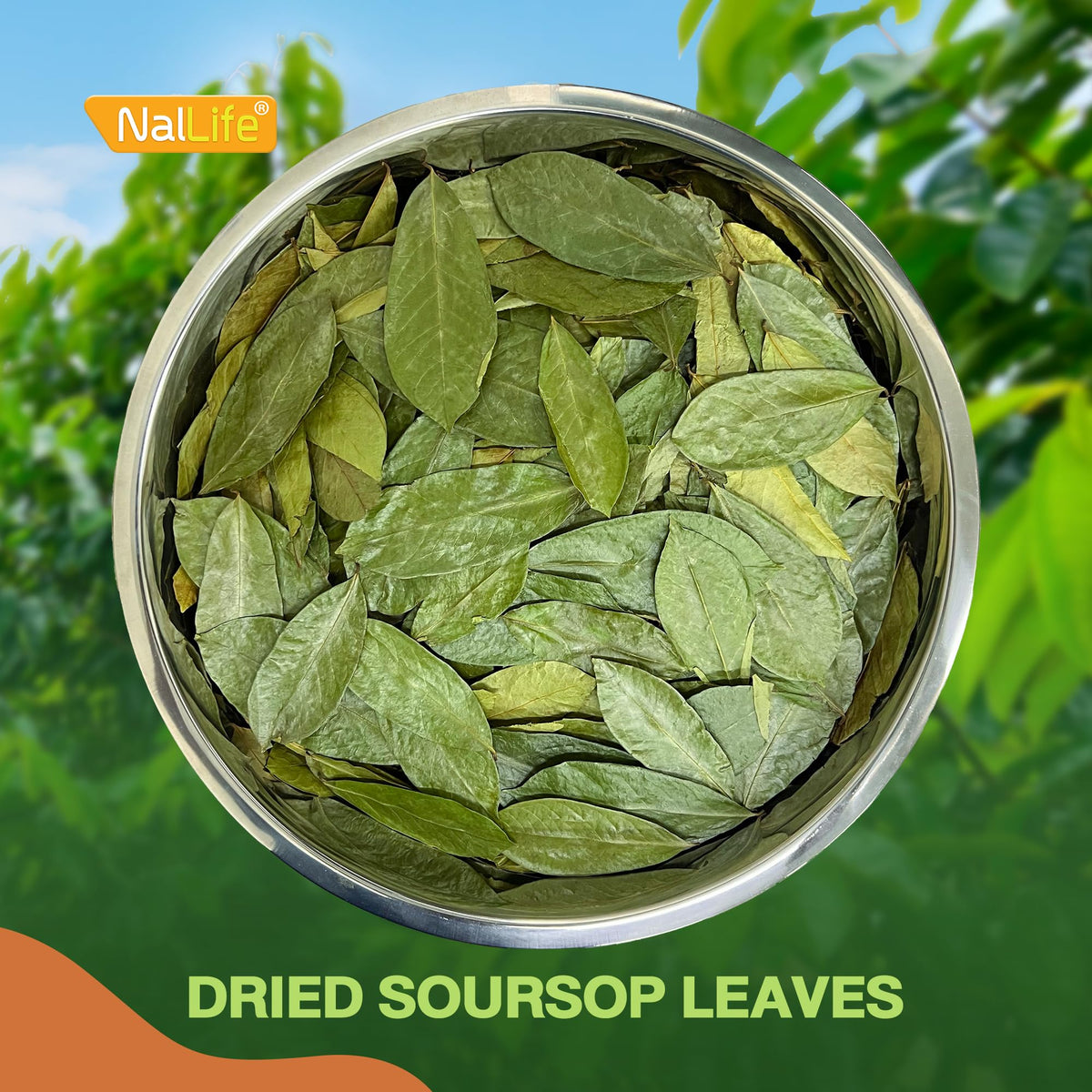 NalLife soursop leaves product label with clear brewing instructions.