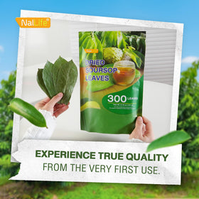NalLife soursop leaves packaging variations shown on product page.