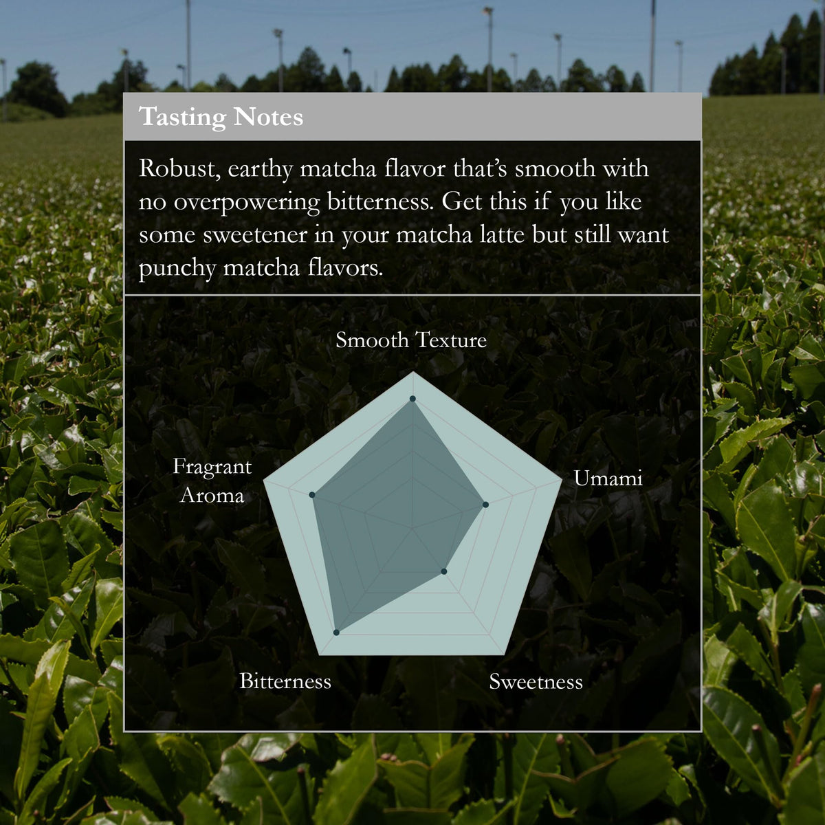 Naoki Matcha tencha-ground process preserves freshness and color