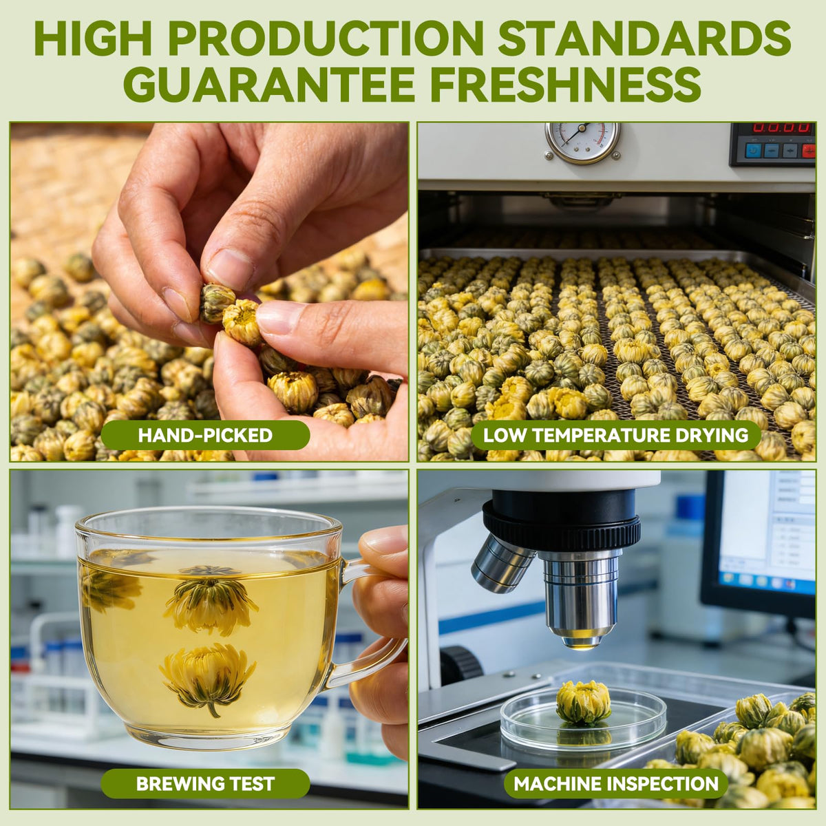 NASLAPH Chrysanthemum Tea handpicked buds ensure premium quality and purity.