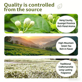 NASLAPH Jasmine Green Tea dried jasmine flowers hint at natural fragrance and aroma.
