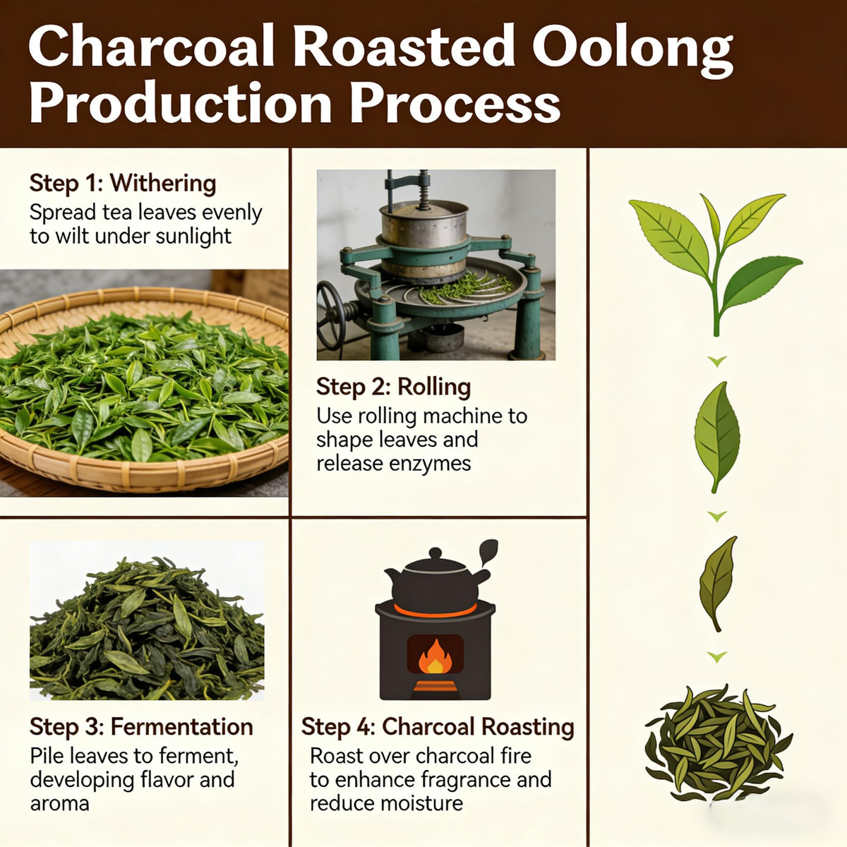 NASLAPH Roasted Oolong steeped cup offers rich, velvety mouthfeel.