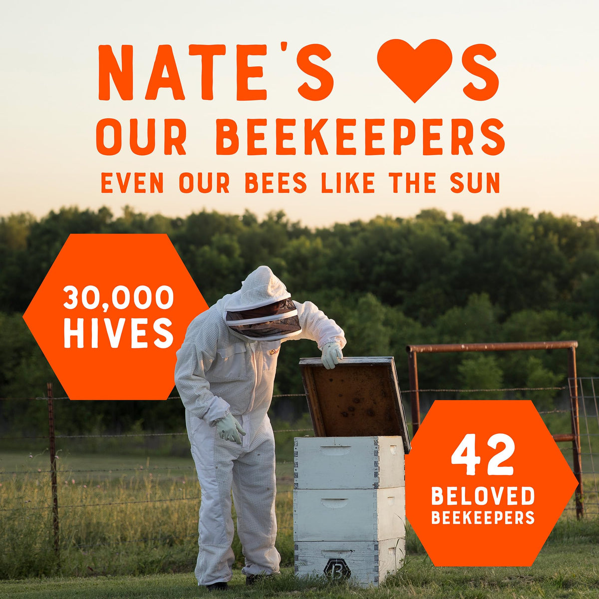 Nate's Honey Florida beekeeping scene emphasizes sustainable sourcing